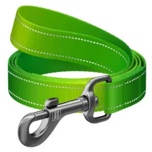 Smycz odblaskowa dla psa COLLAR M jasnozielona 20mm 200cm