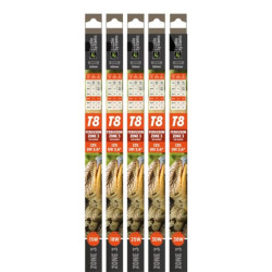 Świetlówka 38W 12% REPTILE Zone 3 As D3 T8 UVI 3.6