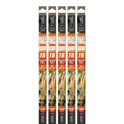 Świetlówka 38W 12% REPTILE Zone 3 As D3 T8 UVI 3.6