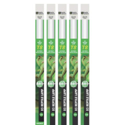 Świetlówka 15W REPTILE As D3 Specjalist T8 5% Forest