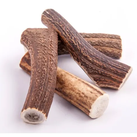 Przysmaki dla psa 4DOGS Gryzak z poroża XL hard Przysmaki dla psa 4DOGS Gryzak z poroża XL hard