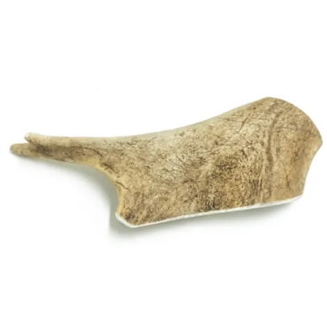 Przysmaki dla psa 4DOGS Gryzak z poroża daniela L Przysmaki dla psa 4DOGS Gryzak z poroża daniela L