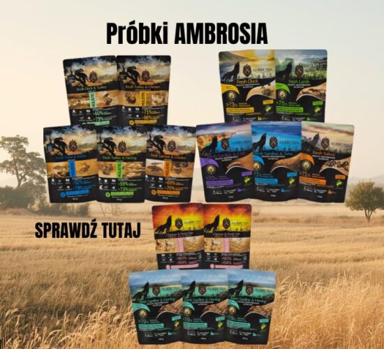 5adca7d0-fbd6-405e-92f7-61f6842133e5