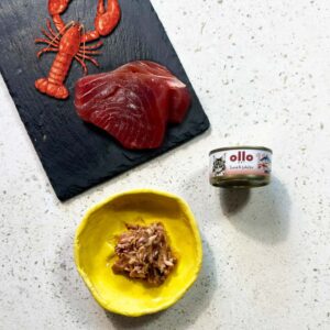 Karma dla kota OLLO tuńczyk homar w bulionie 70g