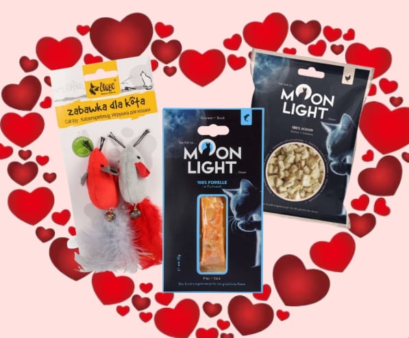 Box koci romans zabawki myszki + 2 smaczki 45g