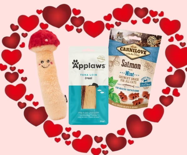 Box kocia romantyczna kolacja zabawka + 2 przysmaki 80g