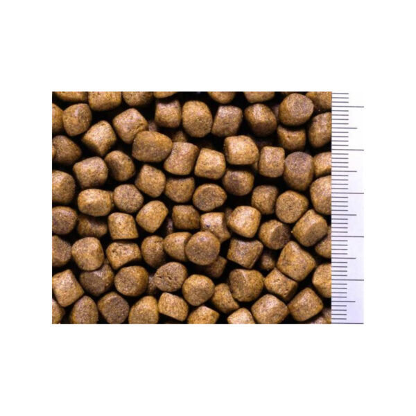 Pokarm dla ryb HIKARI