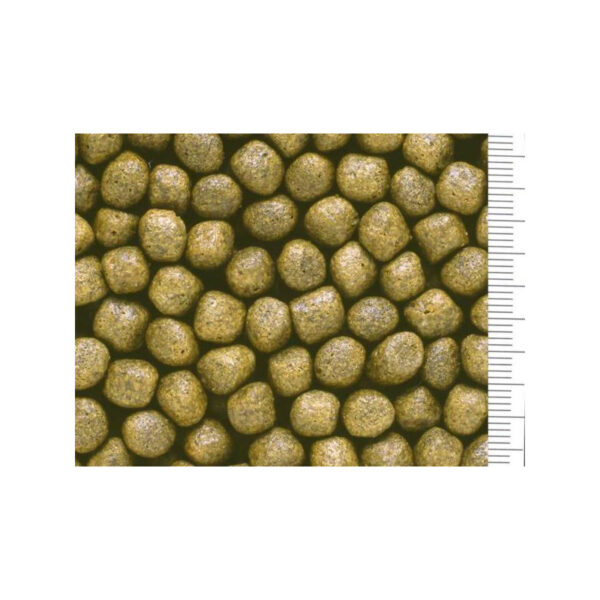 Pokarm dla ryb HIKARI