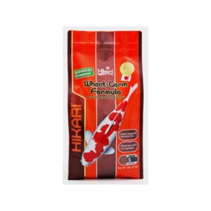 Pokarm dla ryb HIKARI staw granulat wheat germ mini 2kg