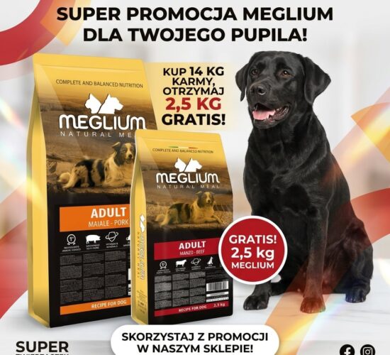 428e4b1b-4b54-4e04-813d-cb611ed2622e