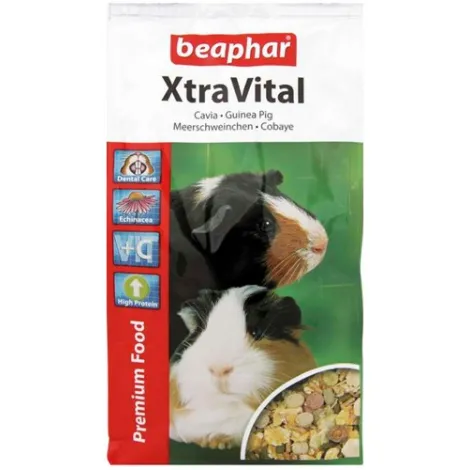 Karma dla świnki BEAPHAR Xtra Vital 1kg