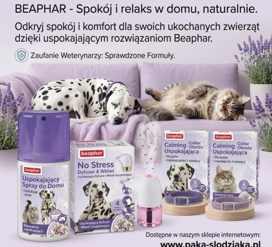 d292959c-b986-4296-8d20-d8b6bd1b8518