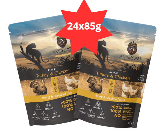 Karma dla kota AMBROSIA Wet indyk kurczak saszetka 24x85g