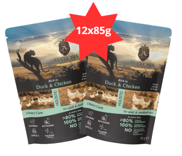 Karma dla kota AMBROSIA Wet kaczka kurczak saszetka 12x85g