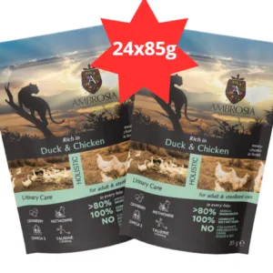 Karma dla kota AMBROSIA Wet kaczka kurczak saszetka 24x85g