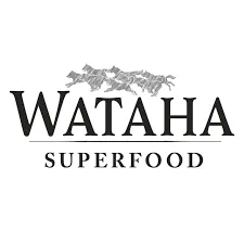 WATAHA