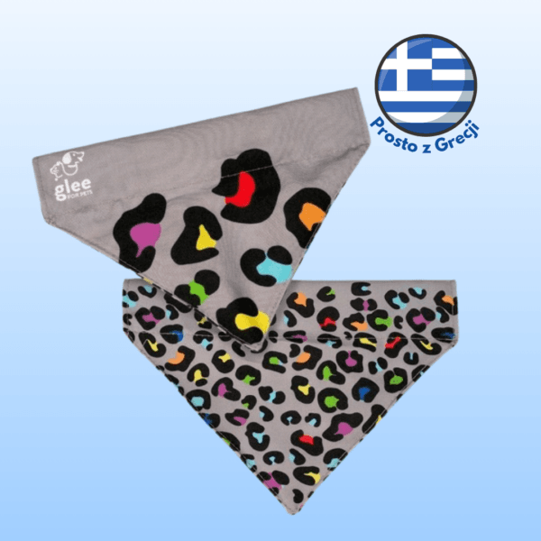 Bandana spacerowa dla psa GLEE Platinum Indy Leo XS/S