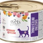 Karma dla kota 4VETS gastro intestinal 185g